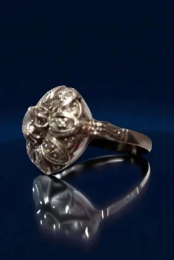 Pamono Edwardian Floral Halo Diamond Ring in Platinum, 1910s><noscript><img width=