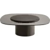Pamono Egg Laguna Oak Coffee Table by Morica Design> Tables