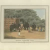 Pamono Elephant and Hunting Engravings, 1813, Paper, Set of 3> Work On Paper