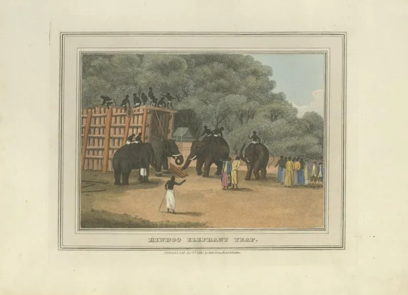 Pamono Elephant and Hunting Engravings, 1813, Paper, Set of 3> Work On Paper