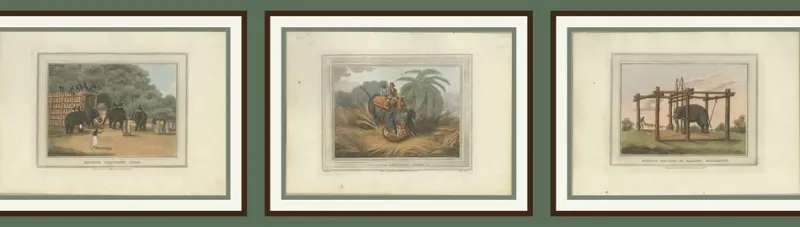 Pamono Elephant and Hunting Engravings, 1813, Paper, Set of 3> Work On Paper