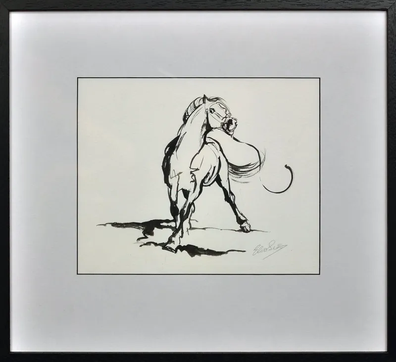 Pamono Elin Sian Blake, Welsh Section A Stallion, 21st Century, Ink on Paper> Minimalist