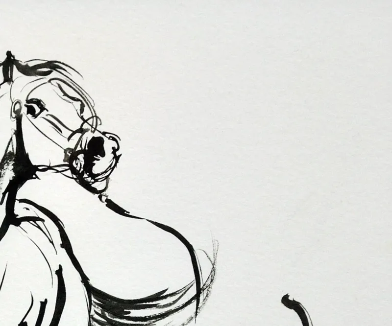 Pamono Elin Sian Blake, Welsh Section A Stallion, 21st Century, Ink on Paper> Minimalist