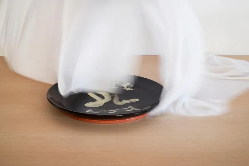 Best Pamono Enamel Plate by Jean-Baptiste Van den Heede