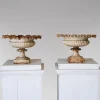 Best Pamono English Cast Iron Tazza Urns or Planters, 1860s, Set of 2