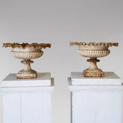 Best Pamono English Cast Iron Tazza Urns or Planters, 1860s, Set of 2