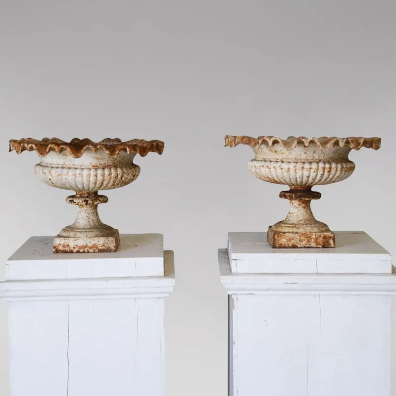 Best Pamono English Cast Iron Tazza Urns or Planters, 1860s, Set of 2