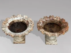 Best Pamono English Cast Iron Tazza Urns or Planters, 1860s, Set of 2