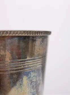 Pamono Epns Silver Plated Lions Head Wine Cooler, 1950s><noscript><img width=