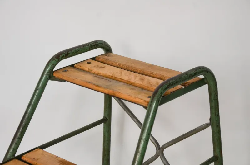 New Pamono Factory Ladder