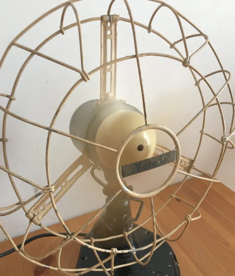 Best Pamono Fan from Marelli, 1950s