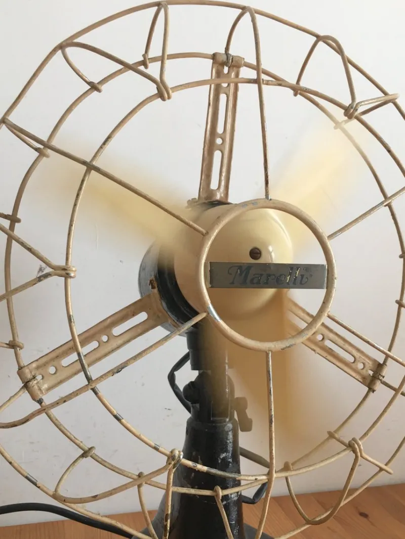 Best Pamono Fan from Marelli, 1950s