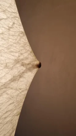 Pamono Fantasma Grande Floor Lamp by Tobia Scarpa for Flos, 1960><noscript><img width=