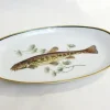 New Pamono Fish Illustrated Service Dish in Porcelain from Arzberg, 1960s