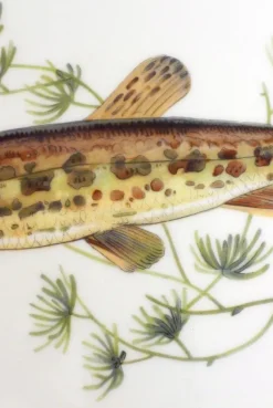 New Pamono Fish Illustrated Service Dish in Porcelain from Arzberg, 1960s