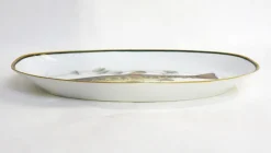 New Pamono Fish Illustrated Service Dish in Porcelain from Arzberg, 1960s