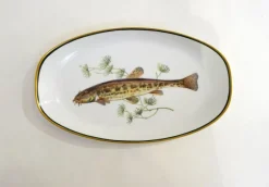 New Pamono Fish Illustrated Service Dish in Porcelain from Arzberg, 1960s
