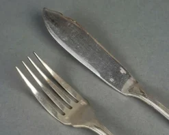 Hot Pamono Fish Service with Forks and Knives from Christofle, 1960s, Set of 24