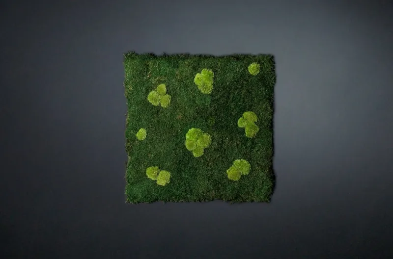 Clearance Pamono Flat Moss Stabilized Dehydrated Vegetable Wall with Pole Moss from VGnewtrend
