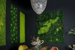 Clearance Pamono Flat Moss Stabilized Dehydrated Vegetable Wall with Pole Moss from VGnewtrend