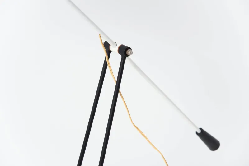Discount Pamono Floor Lamp by Floris Fiedeldij Tivoli for Artimeta, 1956