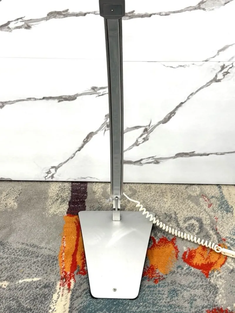Pamono Floor Lamp in Steel by Goffredo Reggiani for Reggiani, 1970> Floor Lamps