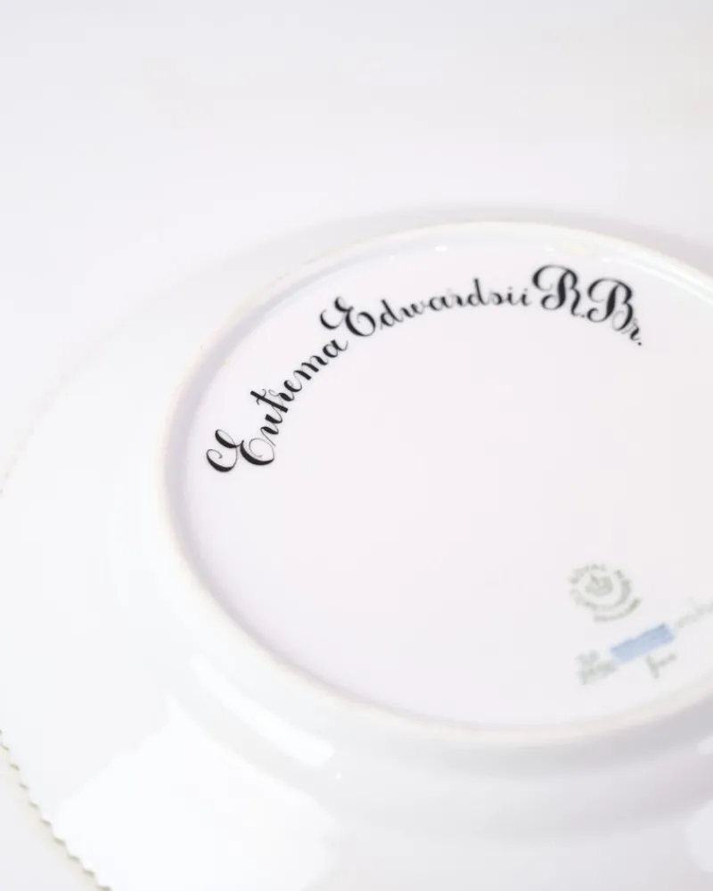 Pamono Flora Danica Lunch Plate by Royal Copenhagen, 1960s> Dinner Plates & Bowls
