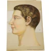 Pamono Foldable Anatomical Brochure Depicting the Human Head, 1890s> Posters