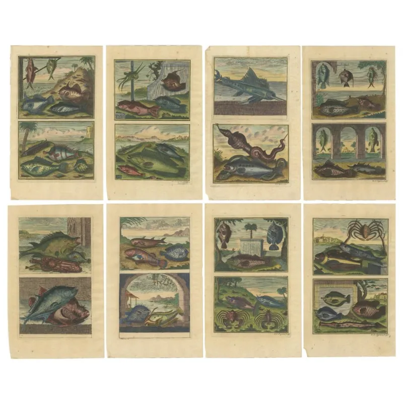 Pamono François Valentyn, Fishes and Crustaceans, 1726, Set of 8> Work On Paper