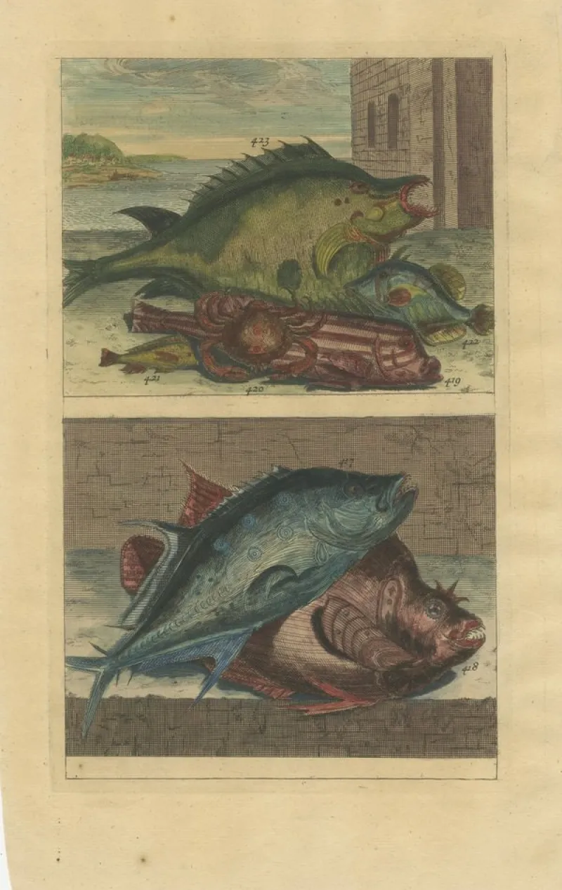 Pamono François Valentyn, Fishes and Crustaceans, 1726, Set of 8> Work On Paper