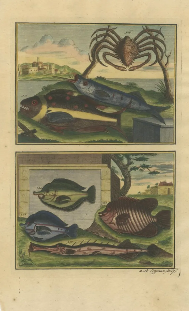 Pamono François Valentyn, Fishes and Crustaceans, 1726, Set of 8> Work On Paper