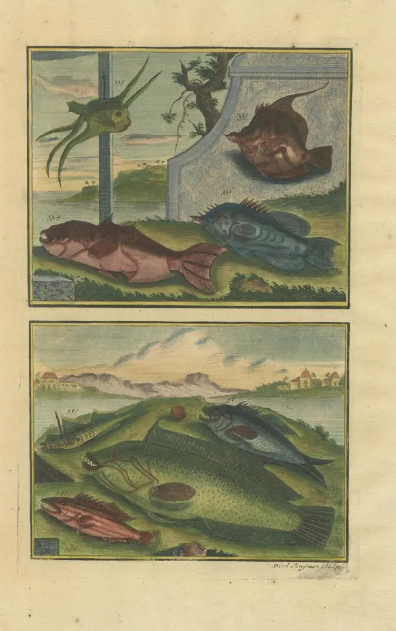 Pamono François Valentyn, Fishes and Crustaceans, 1726, Set of 8> Work On Paper
