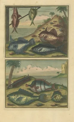 Pamono François Valentyn, Fishes and Crustaceans, 1726, Set of 8><noscript><img width=