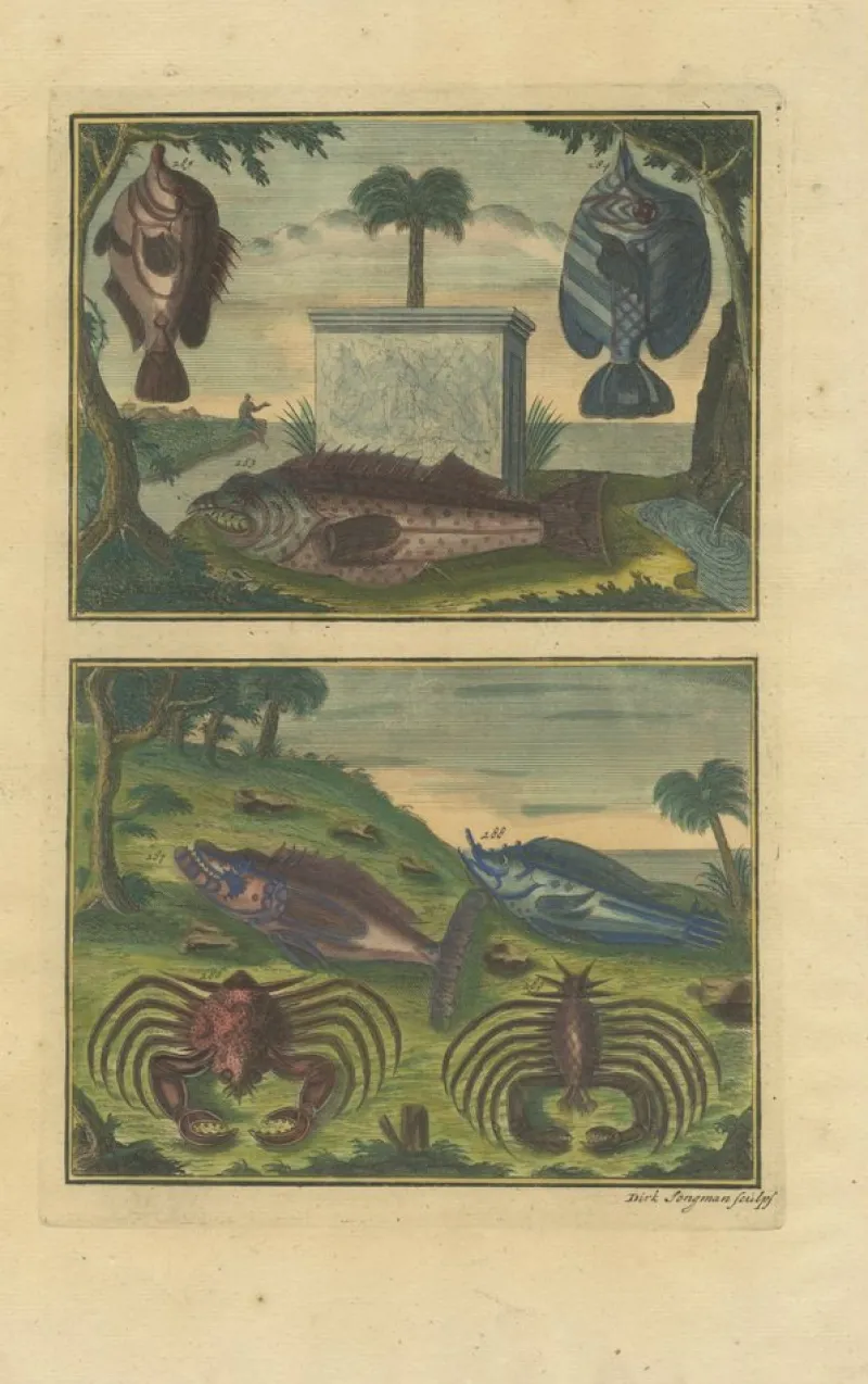 Pamono François Valentyn, Fishes and Crustaceans, 1726, Set of 8> Work On Paper