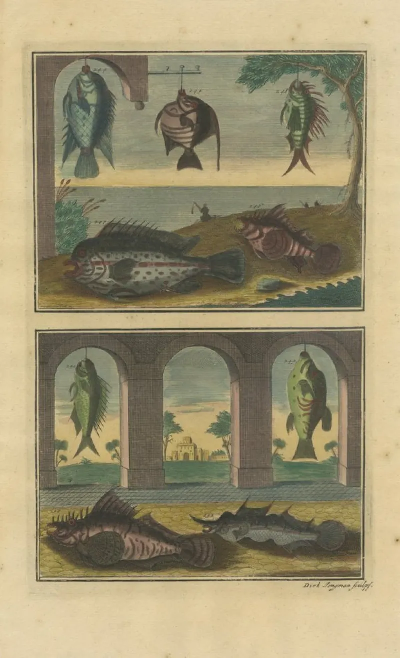 Pamono François Valentyn, Fishes and Crustaceans, 1726, Set of 8> Work On Paper