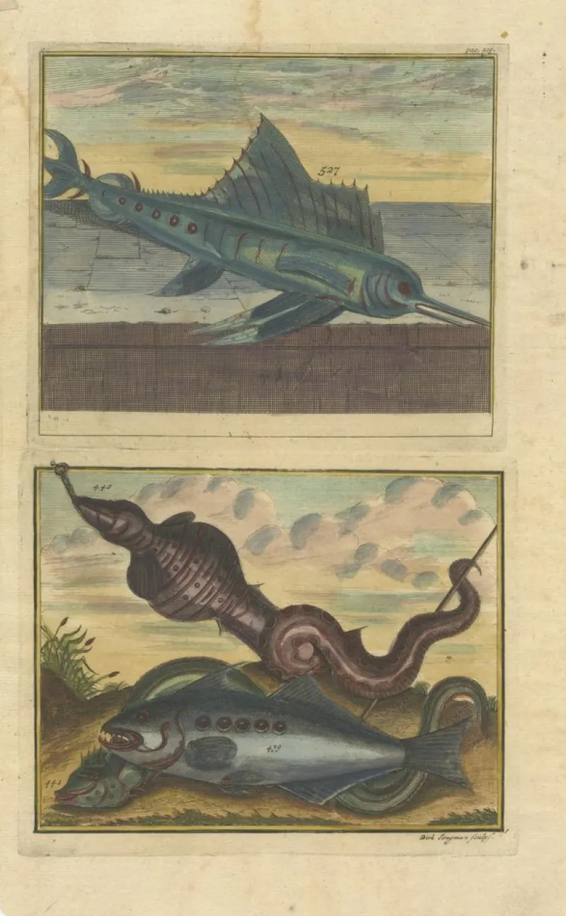 Pamono François Valentyn, Fishes and Crustaceans, 1726, Set of 8> Work On Paper