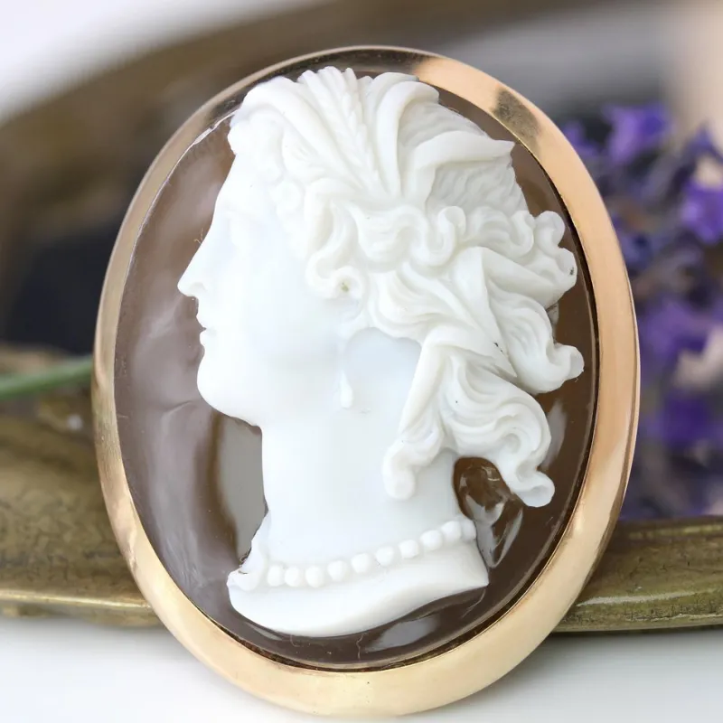 Pamono French Agate Cameo Brooch in 18 Karat Yellow Gold> Brooches
