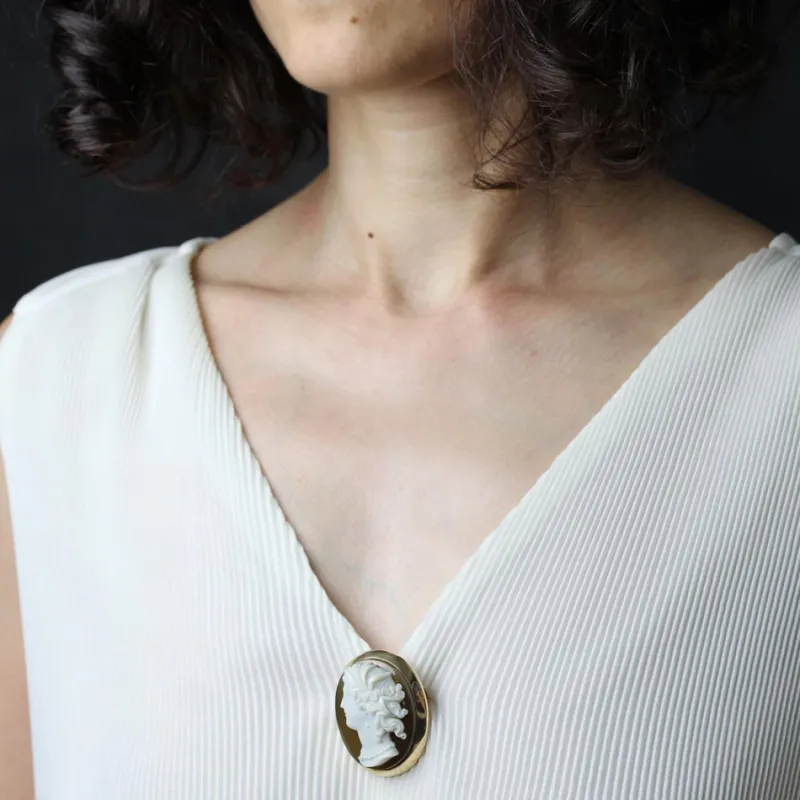 Pamono French Agate Cameo Brooch in 18 Karat Yellow Gold> Brooches