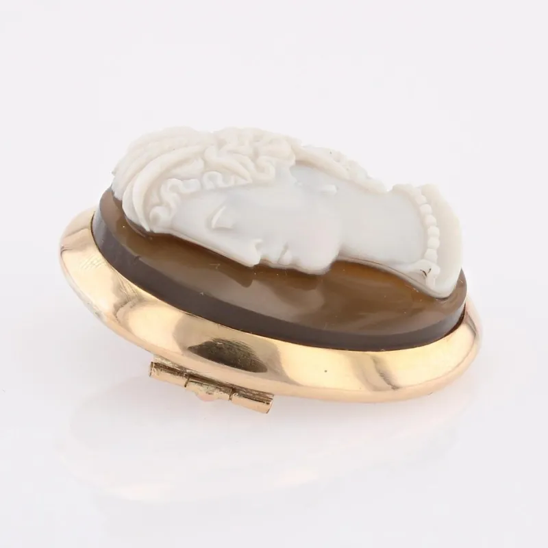 Pamono French Agate Cameo Brooch in 18 Karat Yellow Gold> Brooches