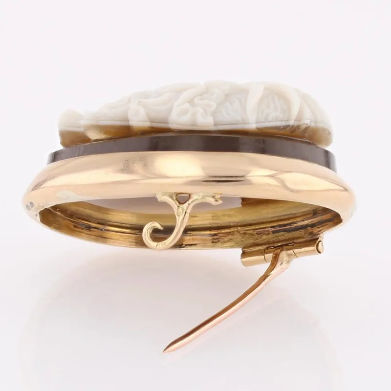 Pamono French Agate Cameo Brooch in 18 Karat Yellow Gold> Brooches