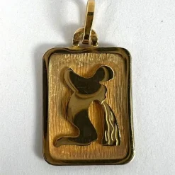 Discount Pamono French Aquarius Starsign Zodiac 18k Yellow Gold Charm Medal Pendant, 1970s