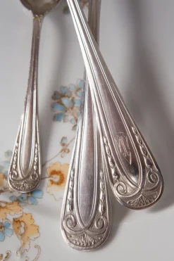 Best Pamono French Art Deco Cutlery Service for 12 with T C Initials from Apollo, 1930s, Set of 36