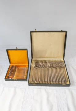Best Pamono French Art Deco Cutlery Service for 12 with T C Initials from Apollo, 1930s, Set of 36