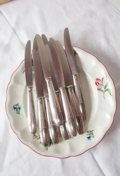 Outlet Pamono French Art Deco Entremets Knives by Apollonox, 1920s, Set of 12
