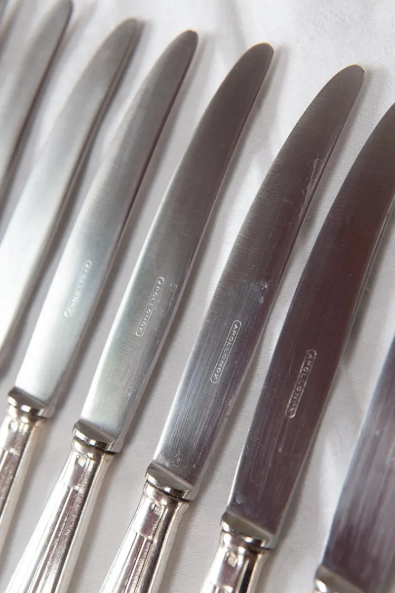 Outlet Pamono French Art Deco Entremets Knives by Apollonox, 1920s, Set of 12