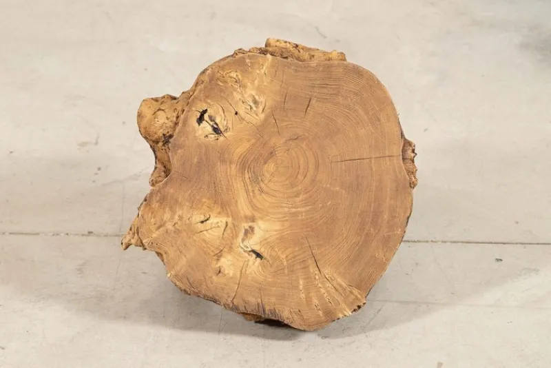 Pamono French Elm Side Table, 1900> Coffee & Side Tables