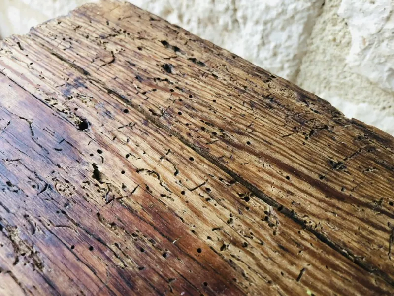 New Pamono French Farmhouse Bench, 1940s