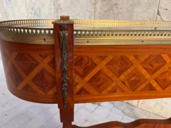 Pamono French Louis XV Planter Top, 1890s> Planters And Jardiniere