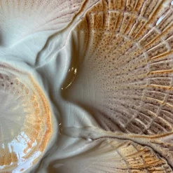 Pamono French Majolica Oyster Shell Plates from Sarreguemines, 1950s, Set of 6><noscript><img width=