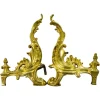 Pamono French Rococo Style Gilt Bronze and Iron Firedogs, 1890s, Set of 2> Fireplaces And Mantels